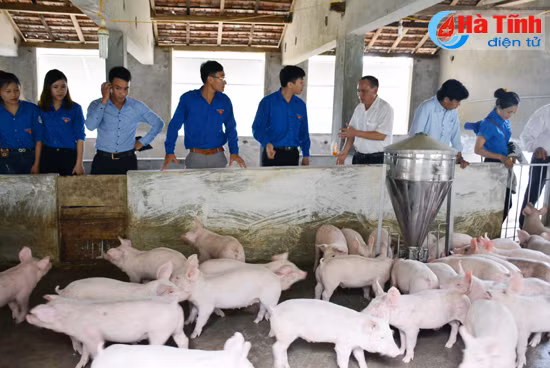 ra mat mo hinh kinh te thanh nien thu nhap 500 trieu dong nam