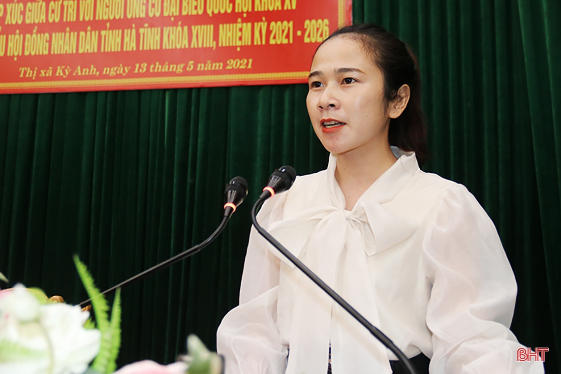 Mong muốn được đóng góp cho sự phát triển của Hà Tĩnh, mang lại lợi ích thiết thực cho Nhân dân