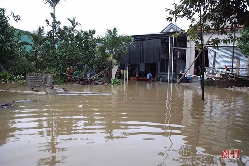 Hơn 300 ha nuôi trồng thủy sản và hàng trăm héc-ta hoa màu ở Can Lộc bị thiệt hại