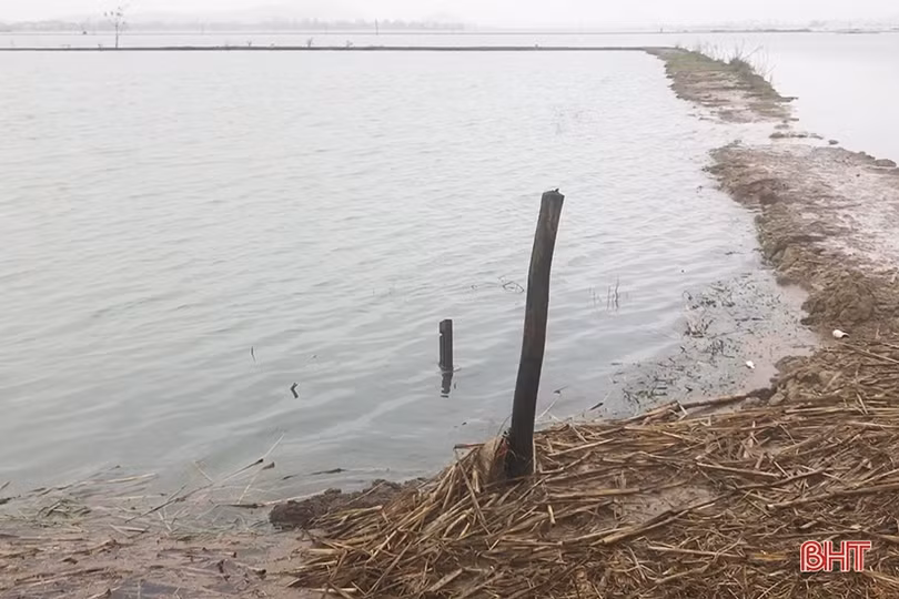 Hơn 300 ha nuôi trồng thủy sản và hàng trăm héc-ta hoa màu ở Can Lộc bị thiệt hại