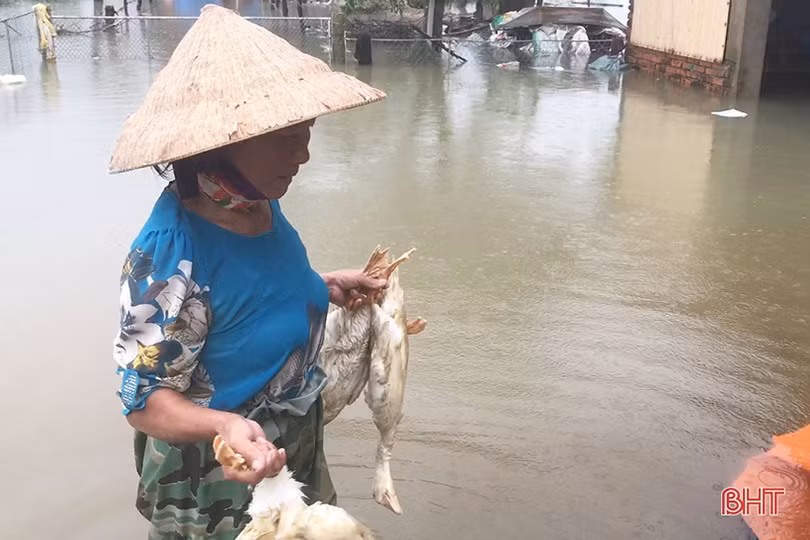 Hơn 300 ha nuôi trồng thủy sản và hàng trăm héc-ta hoa màu ở Can Lộc bị thiệt hại