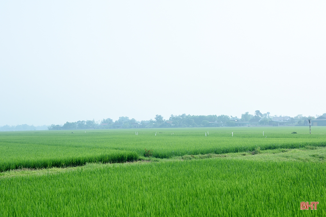 Hà Tĩnh mãi mãi tri ân cố Tổng Bí thư Lê Duẩn!