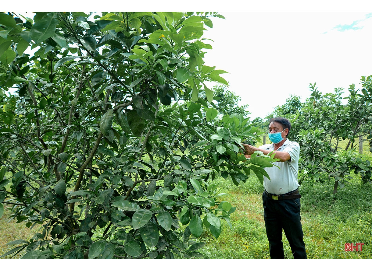 Hương Khê phát huy nội lực, thu hút ngoại lực, sớm về đích nông thôn mới (Bài 2): Chính quyền và người dân vào cuộc tích cực, quyết tâm cao