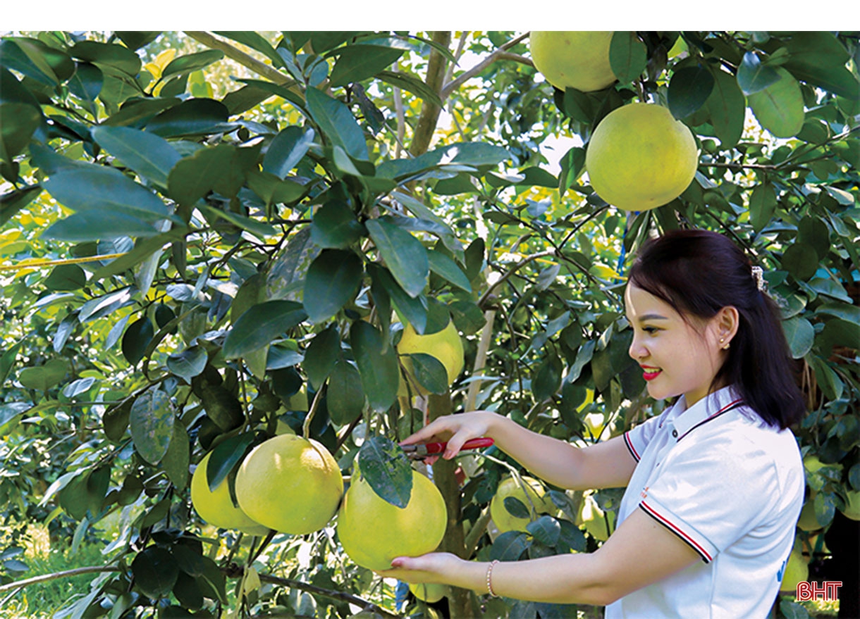 Hương Khê phát huy nội lực, thu hút ngoại lực, sớm về đích nông thôn mới (Bài 2): Chính quyền và người dân vào cuộc tích cực, quyết tâm cao