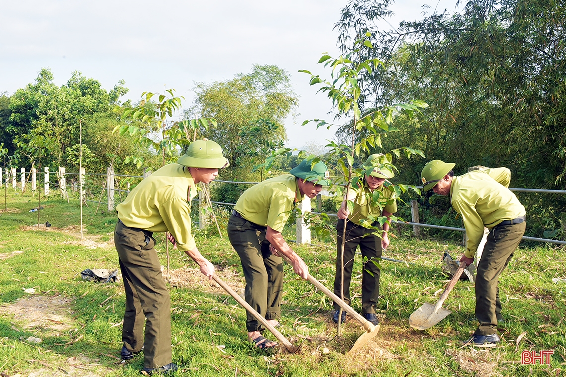 Các địa phương Hà Tĩnh sôi nổi ra quân trồng cây đầu xuân