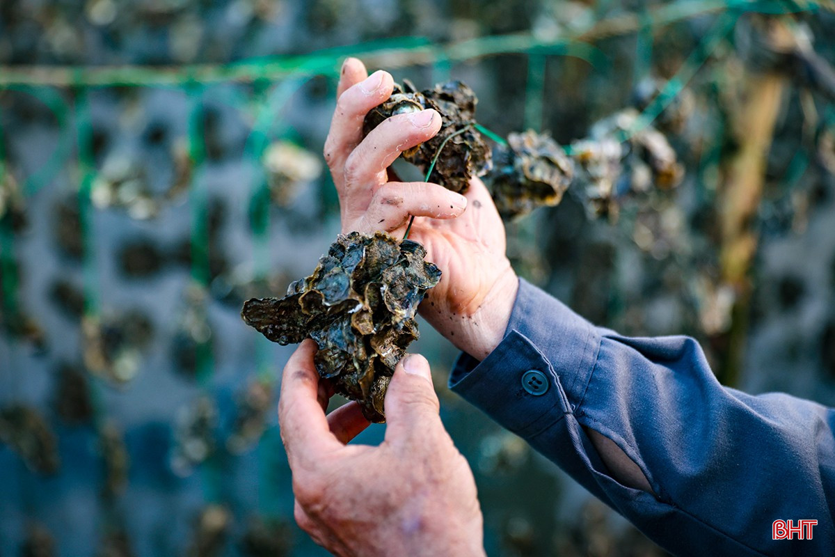 bqbht_br_aimg-6927.jpg