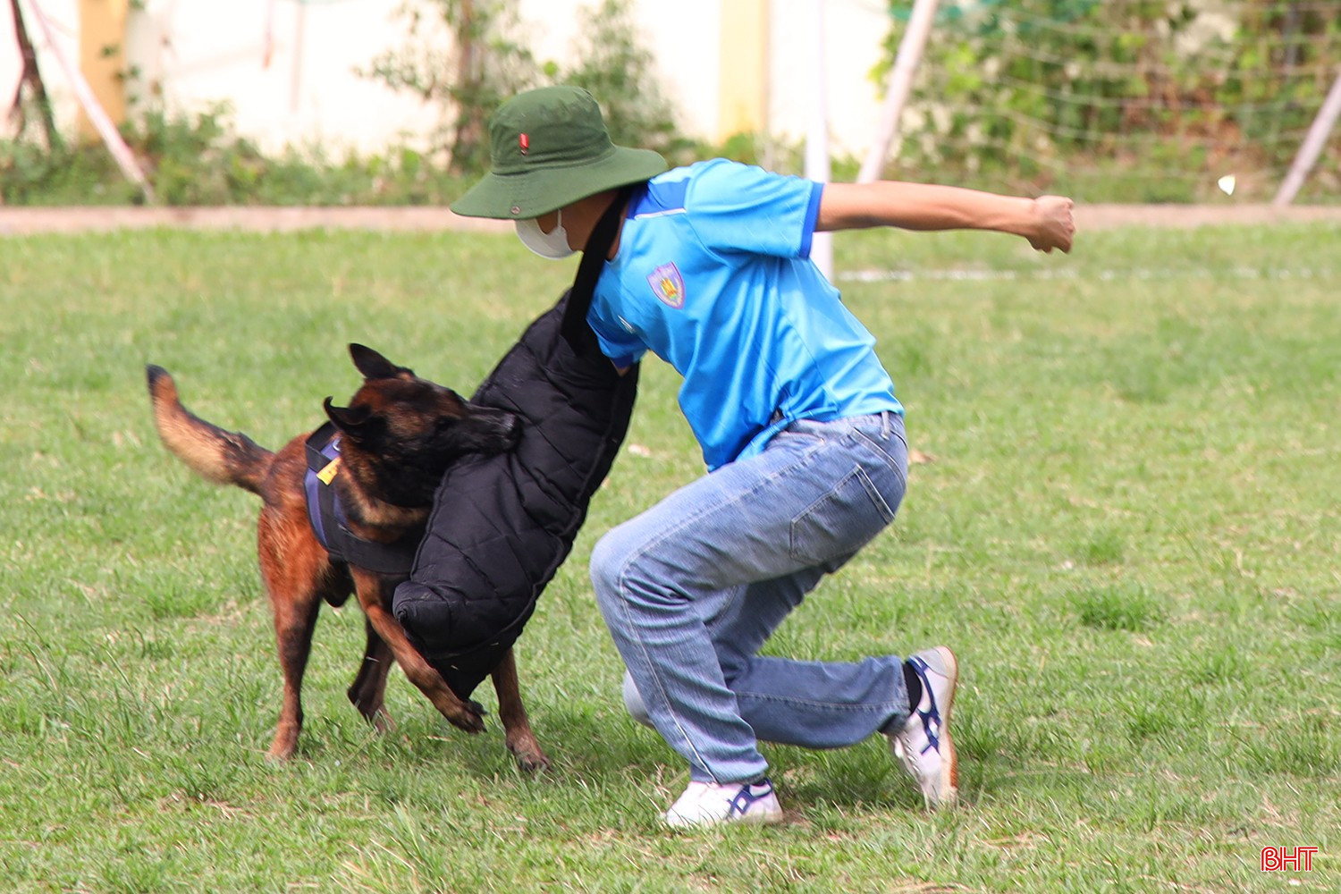 bqbht_br_im7a2345.jpg