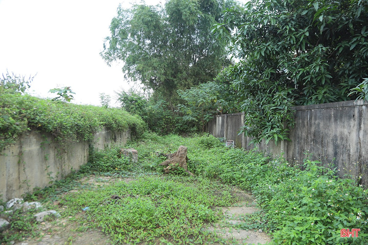 bqbht_br_4-5234.jpg