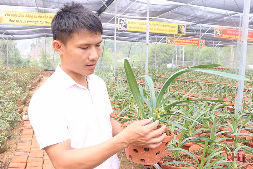 Doanh nhân trẻ rời phố về làng khởi nghiệp từ vườn lan