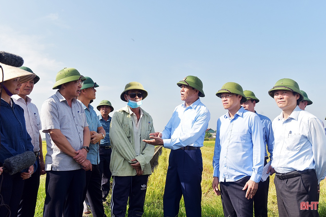 Huy động tối đa nhân lực, máy cơ giới để đẩy nhanh tiến độ thu hoạch lúa xuân