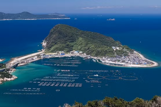 khi unesco bao ve nhung di san ki la nhu dao cam phu nu