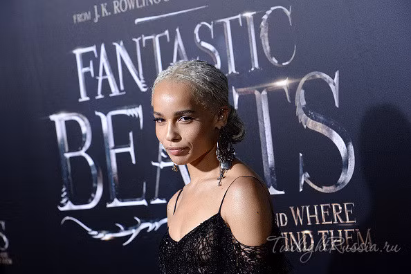 nhung dieu can biet ve bom tan fantastic beasts 2