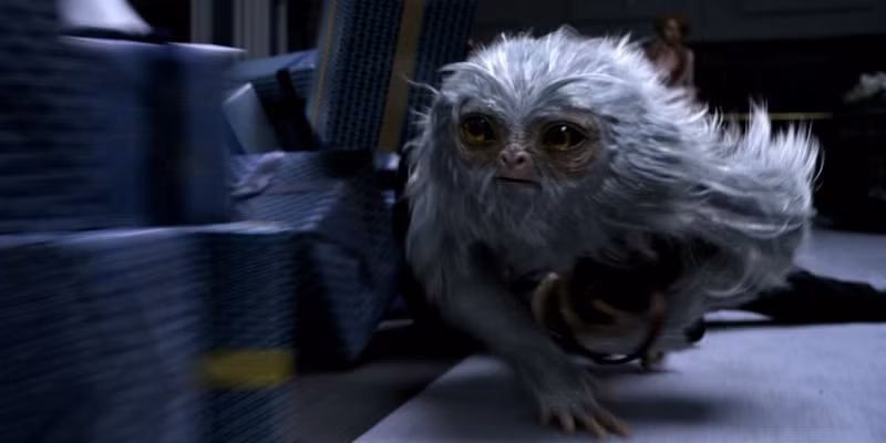 nhung dieu can biet ve bom tan fantastic beasts 2