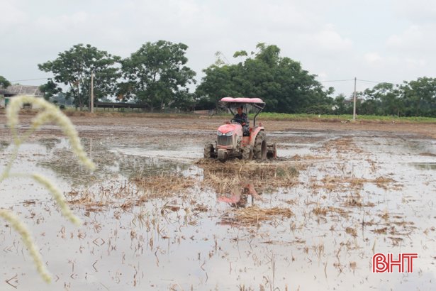 Nông dân thị xã Kỳ Anh tất bật ra đồng