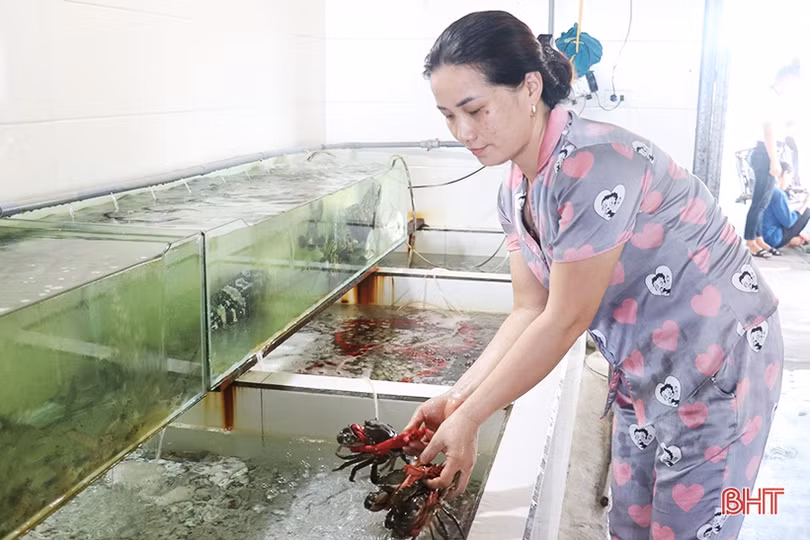 Biển sạch, hải sản tươi ngon - Thạch Hải đón hàng nghìn du khách 