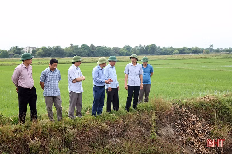 Điều tiết hợp lý nguồn nước tưới, đảm bảo lúa hè thu sinh trưởng và phát triển tốt