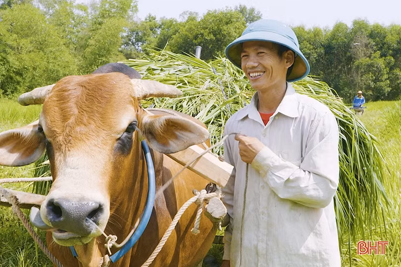 Những mô hình nông - lâm hiệu quả ở Hà Tĩnh sẽ được nhân rộng ra các tỉnh bạn