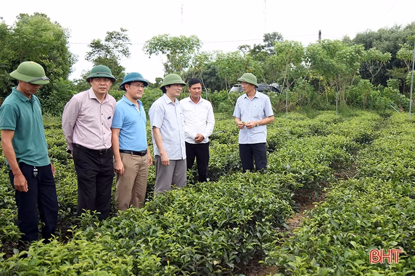 Điều tiết hợp lý nguồn nước tưới, đảm bảo lúa hè thu sinh trưởng và phát triển tốt