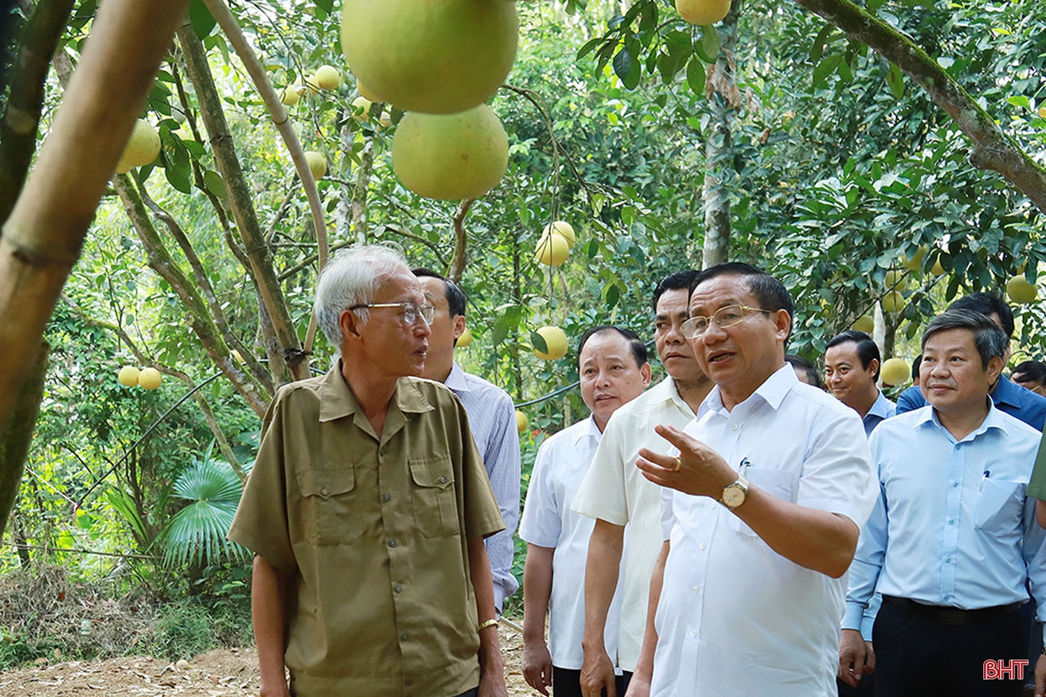 Xác định đột phá về nông nghiệp, Hương Khê quyết tâm đạt chuẩn huyện nông thôn mới