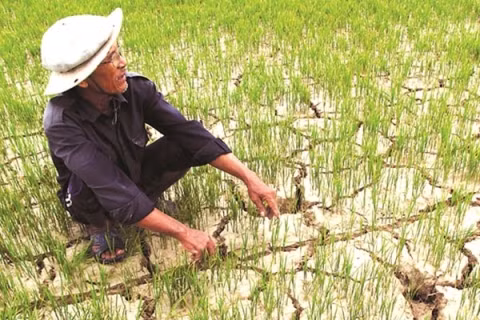 tpp se dua thuong mai cua viet nam len tam to lon hon