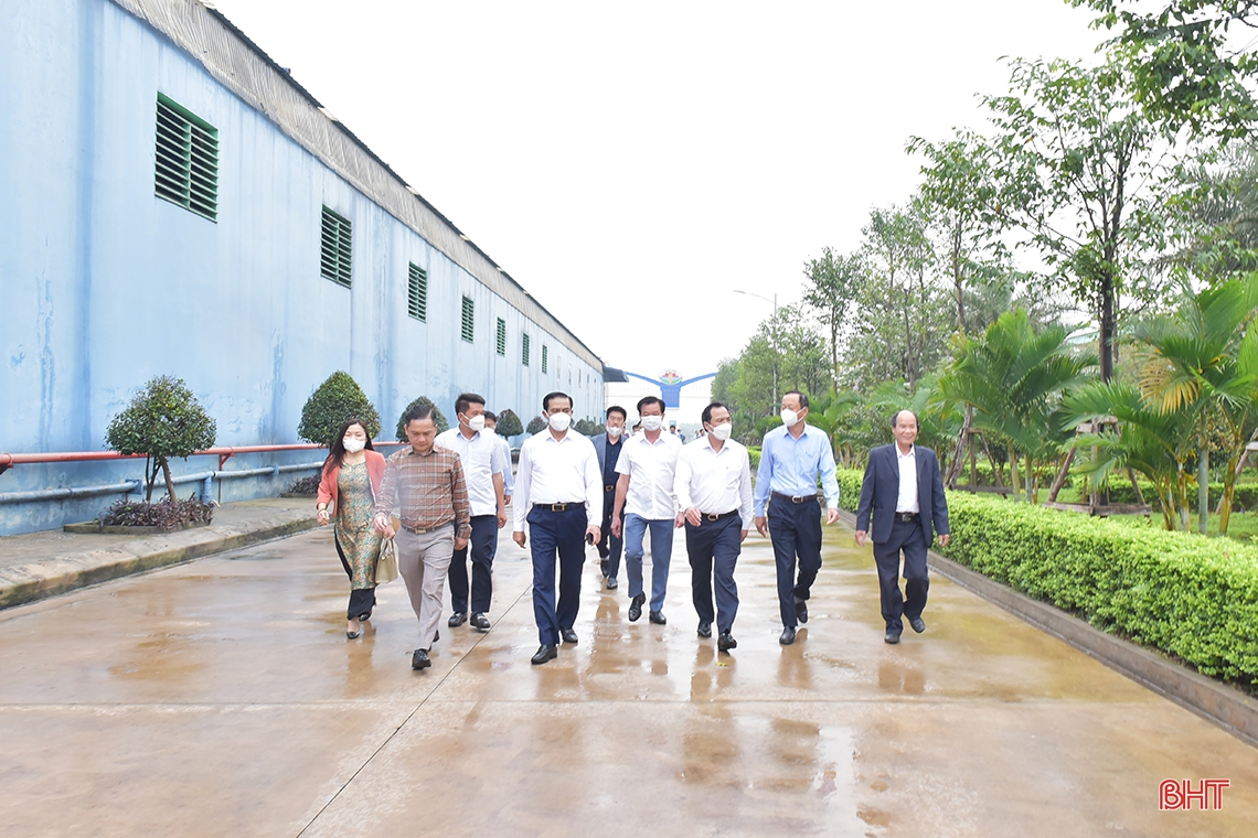 Tạo mọi thuận lợi để Tập đoàn Quế Lâm đầu tư các mô hình nông nghiệp hữu cơ tại Hà Tĩnh