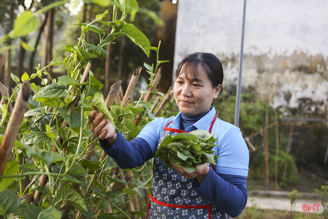 Những người “gieo chữ trên mây” ở xã vùng biên Hà Tĩnh