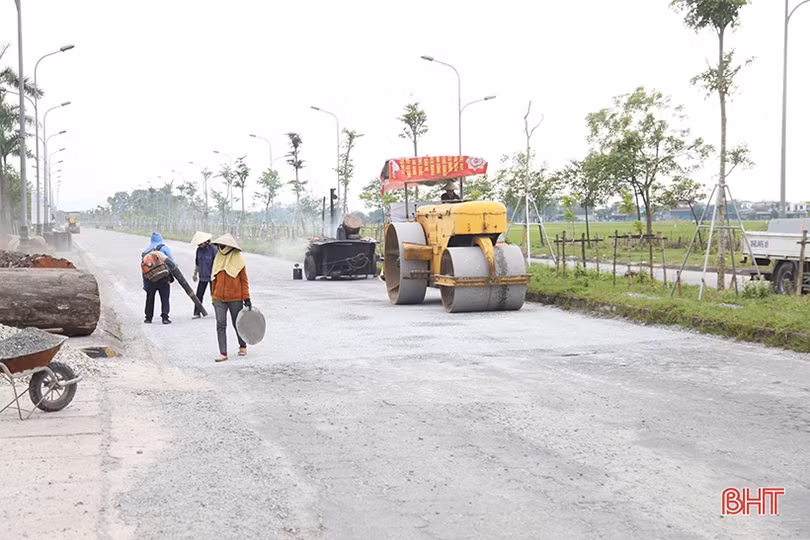 Dắm vá, trồng mới cây xanh trên đường Ngô Quyền ở TP Hà Tĩnh 