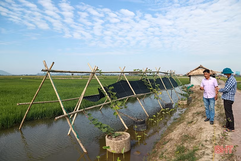 Chủ tịch hội nông dân xã - bí thư chi bộ vùng giáo tâm huyết, sáng tạo