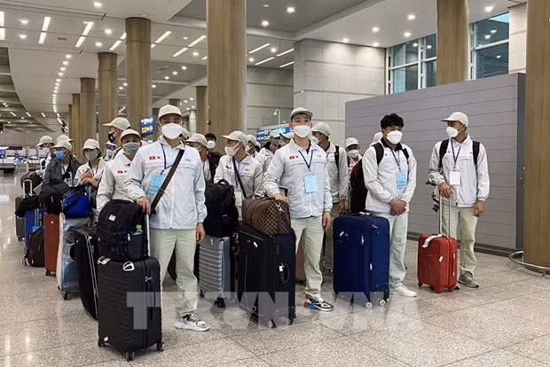 Hàn Quốc mở lại kênh tiếp nhận lao động thời vụ từ Việt Nam
