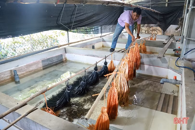 Chủ tịch hội nông dân xã - bí thư chi bộ vùng giáo tâm huyết, sáng tạo
