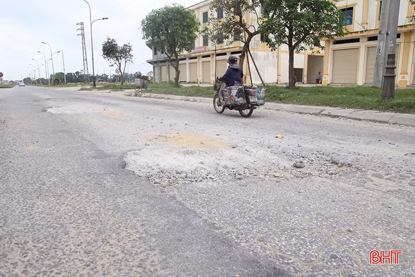Dắm vá, trồng mới cây xanh trên đường Ngô Quyền ở TP Hà Tĩnh 