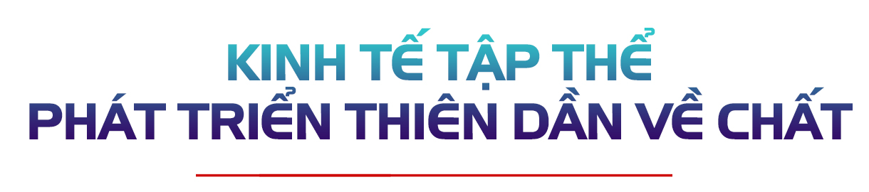 Lấy chất lượng làm thước đo, đưa kinh tế tập thể Hà Tĩnh “cất cánh”