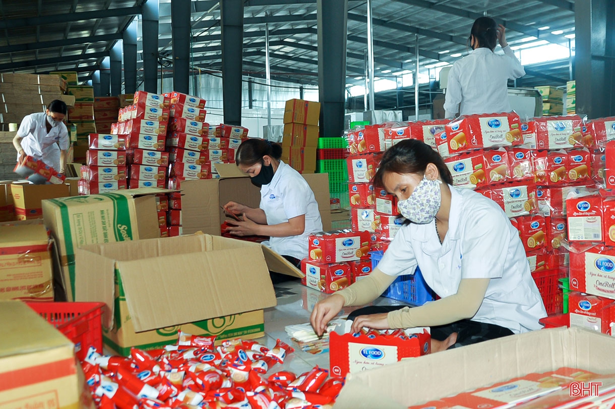 Lấy chất lượng làm thước đo, đưa kinh tế tập thể Hà Tĩnh “cất cánh”