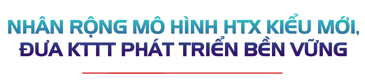 Lấy chất lượng làm thước đo, đưa kinh tế tập thể Hà Tĩnh “cất cánh”