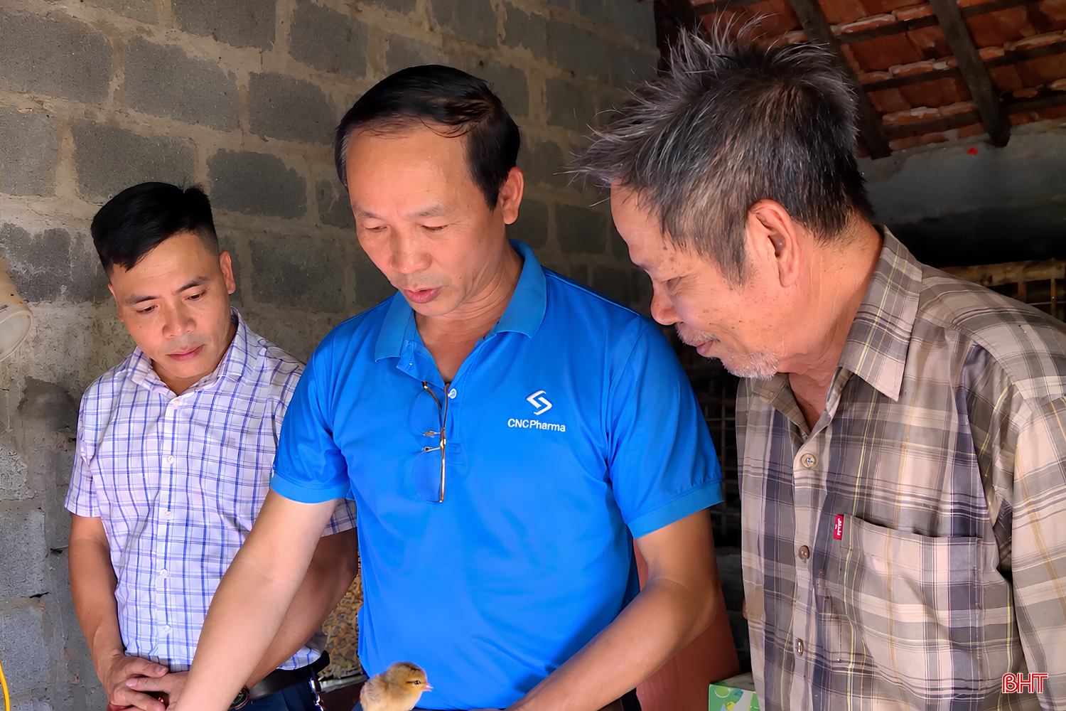 bqbht_br_anh-duc-cms-2.png