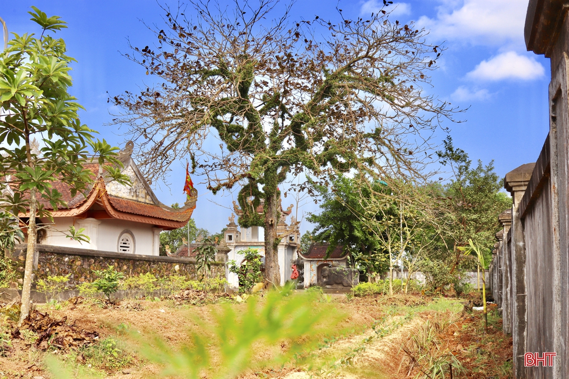 Ngắm tháp đá cổ hơn 500 tuổi ở Hà Tĩnh