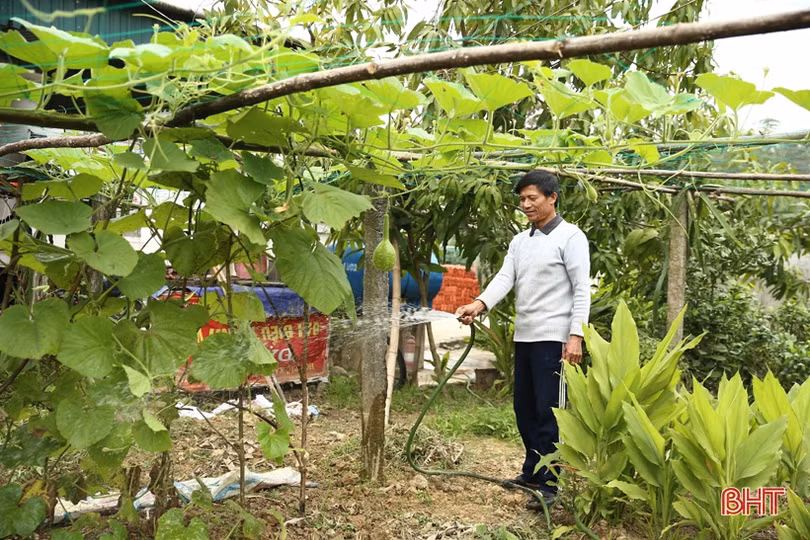 Niềm vui nước sạch về với người dân thị trấn Nghèn 