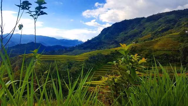 nhung diem du lich thach thuc mau lieu cua du khach viet