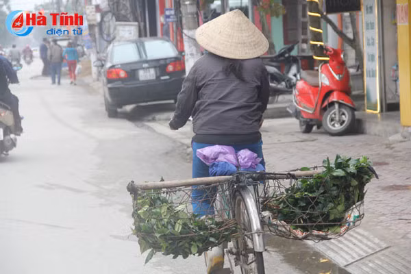 nhung nguoi quen tet