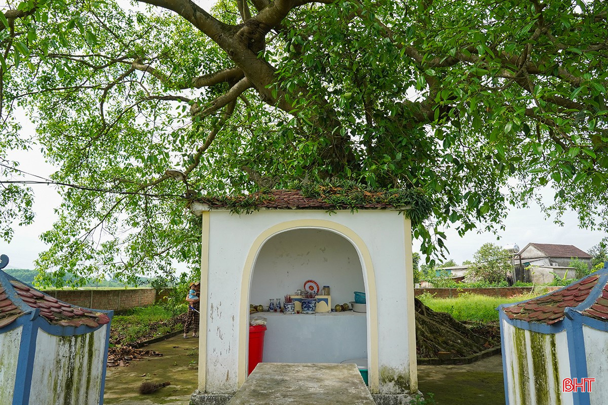 bqbht_br_1dsc09365.jpg