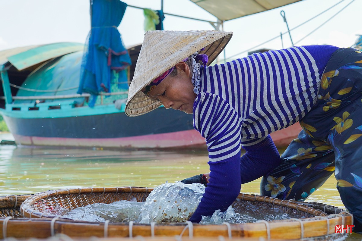 Sau khi nấu xong, hến, dắt sẽ được đưa ra sông đãi lần cuối để lấy ruột.