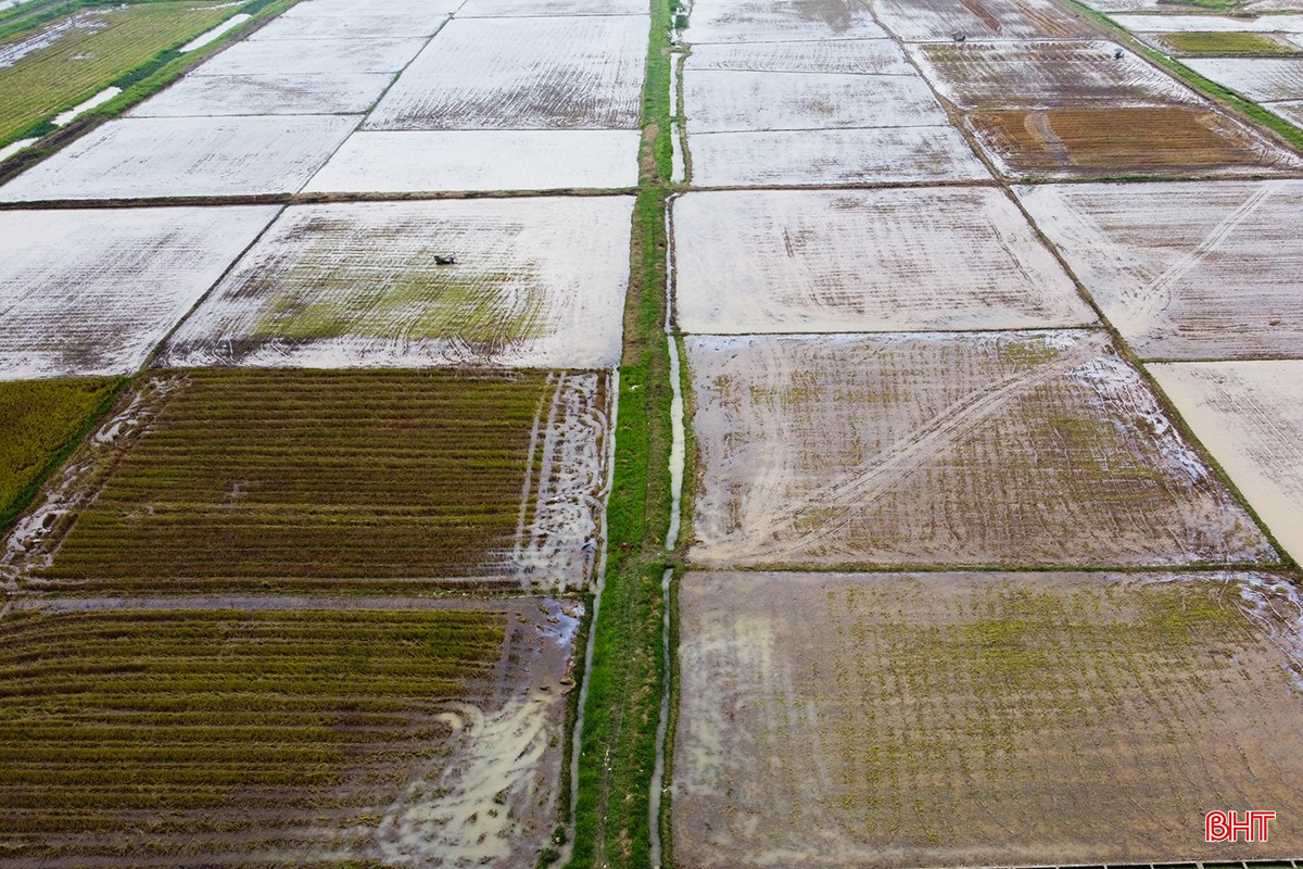 bqbht_br_1dji-0080.jpg