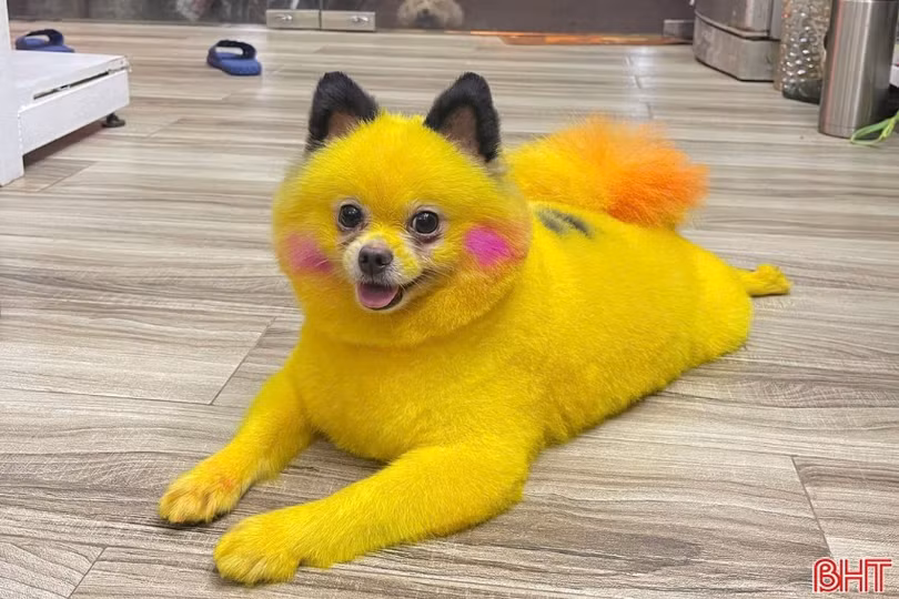 a1.jpg