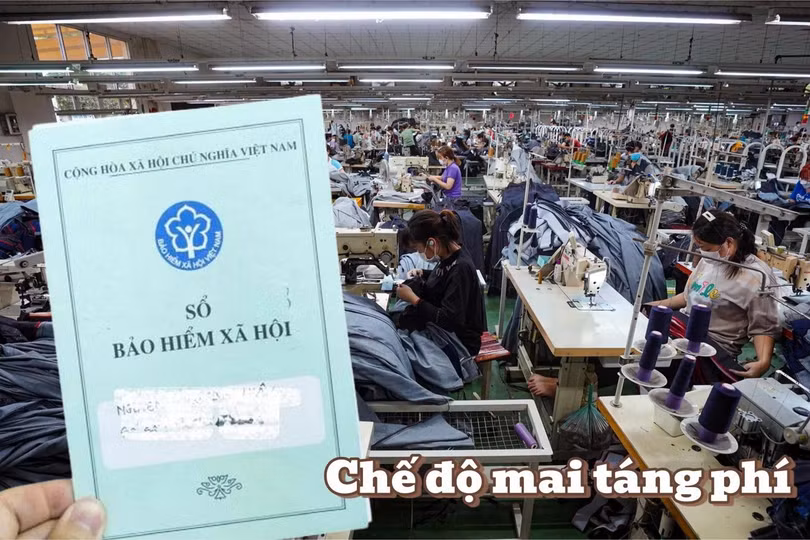 che-do-mai-tang-phijpeg-1762502818795.jpg