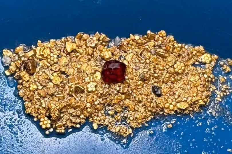 1-6417.jpg