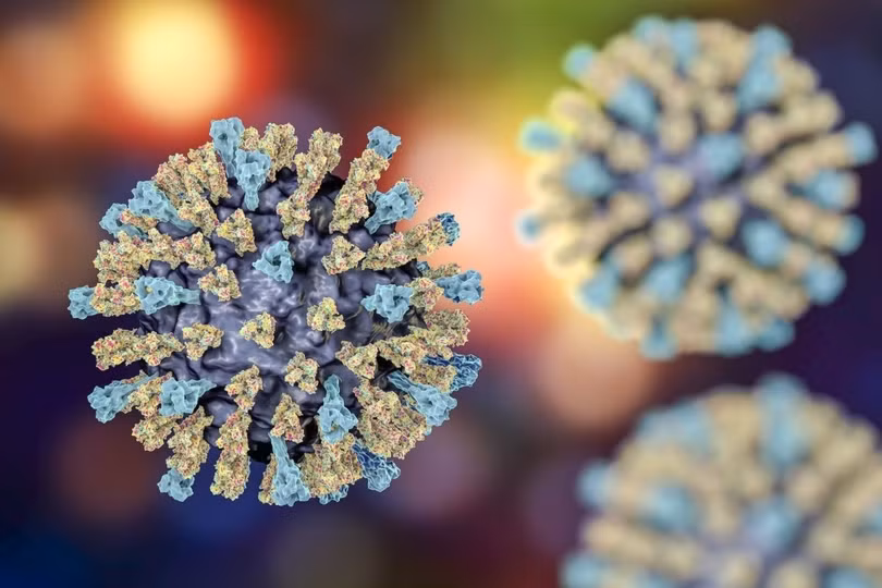 Sởi là một trong những virus dễ lây lan nhất thế giới. Ảnh minh họa: Pbs.