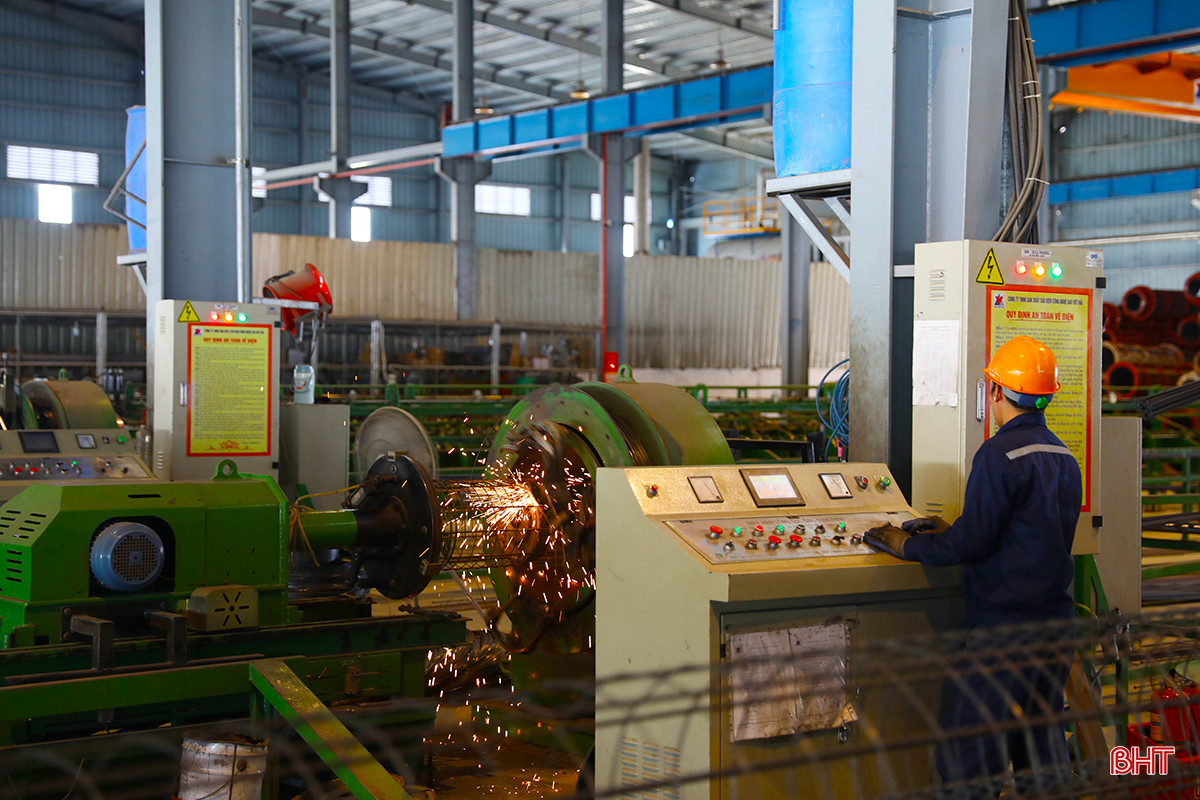 AG7A4253.jpg