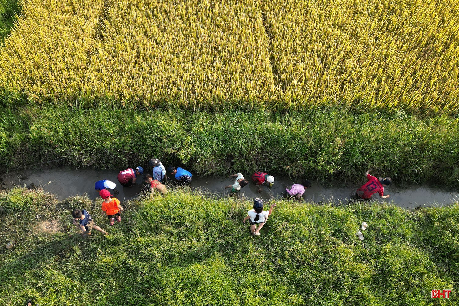 bqbht_br_dji-0266.jpg