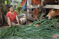 Hương Sơn tập trung thực hiện chương trình giảm nghèo bền vững