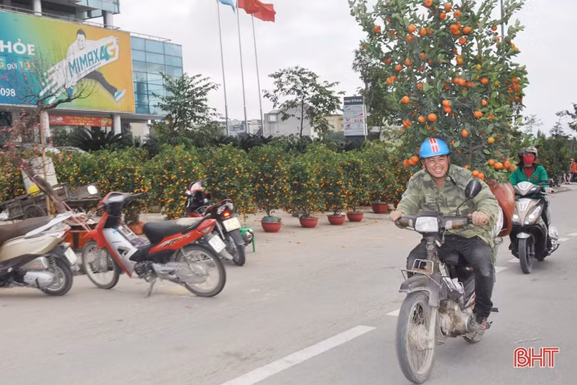 Cận cảnh những người chở Tết về nhà